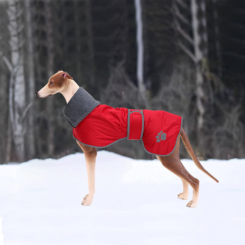 Geyecete Dog Winter Coat Greyhound Raincoat Fabric with Lamb Velvet inside Outdoor Dog Apparel with Adjustable Bands for Medium, Large Dog Animals & Pet Supplies > Pet Supplies > Dog Supplies > Dog Apparel Geyecete   