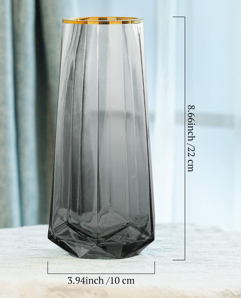 Luxspire Tall Glass Vase for Flowers,Large Clear Vase Morden Ins Style,Crystal Vases Flowers Hand Blown Glass for Home Decoration Living Room Office Bethroom Decor,8.7 Inch,Smoky Gray Home & Garden > Decor > Vases Luxspire   