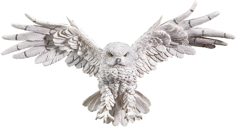Design Toscano JQ9623 Mystical Spirit Owl Wall Sculpture, Full Color