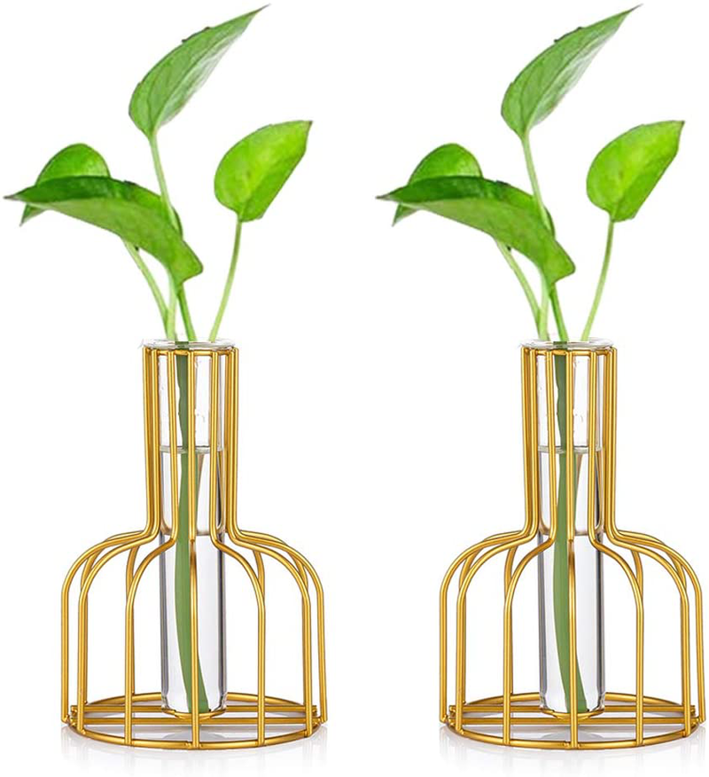 Glass Propagation Station with Metal Frame, Gold Flower Vase, Test Tube Vase for Hydroponic Plant, Small Bud Vase for Home Kitchen Office Table Top Decor Home & Garden > Decor > Vases Glasseam Gold 2pcs 
