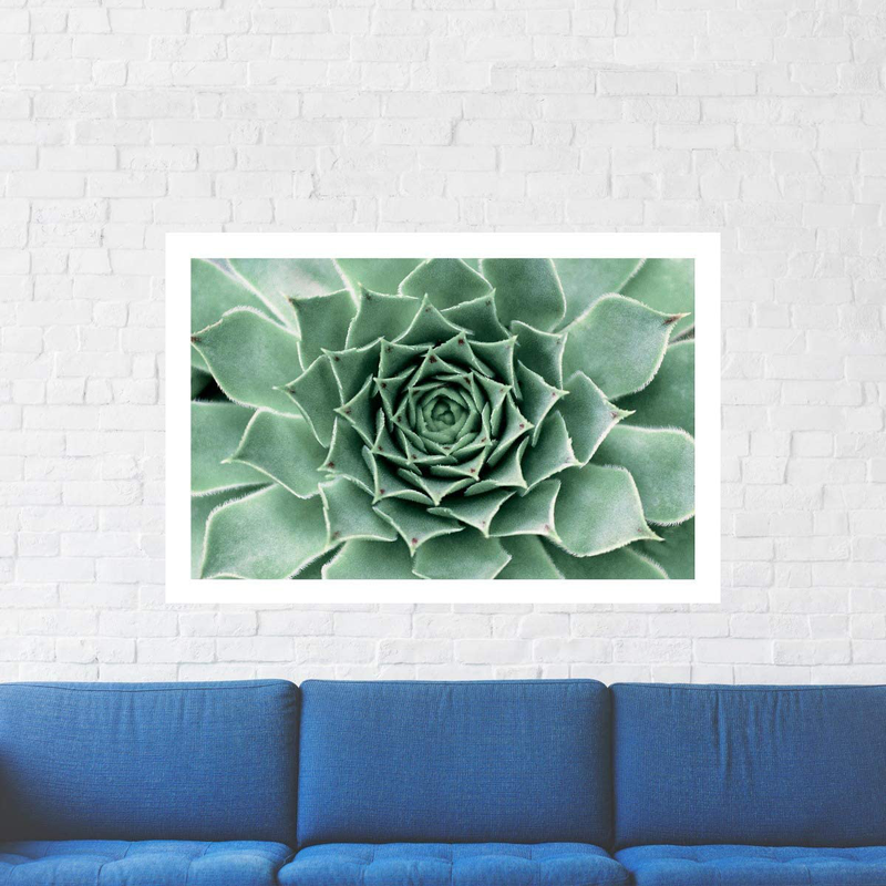 Humble Chic Succulent Cactus Plant, 24X36 Horizontal Wall Art Prints - Unframed HD Printed Plants Picture Poster Decorations for Home Decor Living Dining Bedroom Bathroom College Dorm Room Home & Garden > Decor > Artwork > Posters, Prints, & Visual Artwork Humble Chic NY   
