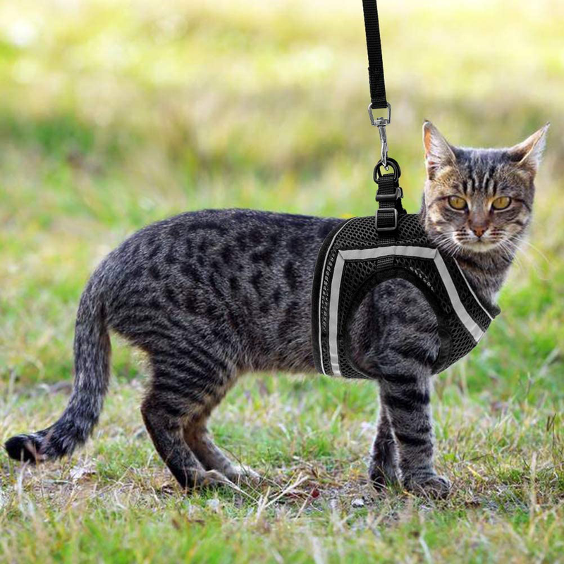 PUPTECK Breathable Cat Harness and Leash Set - Escape Proof Cat Vest Harness, Reflective Adjustable Soft Mesh Kitty Puppy Harness, Easy Control for Outdoor Walking Animals & Pet Supplies > Pet Supplies > Cat Supplies > Cat Apparel PUPTECK   