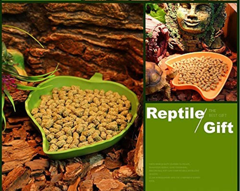 pranovo 2 Pack Leaf Reptile Food and Water Bowl for Pet Aquarium Ornament Terrarium Dish Plate Lizards Tortoises or Small Reptiles