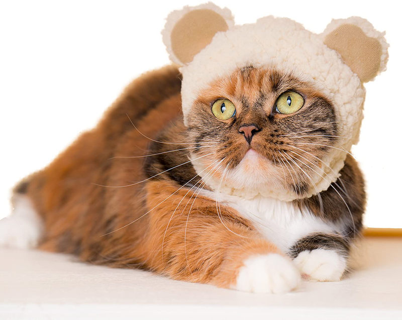 Kitan Club Cat Cap - Pet Hat Blind Box Includes 1 of 6 Cute Styles - Soft, Comfortable - Authentic Japanese Kawaii Design - Animal-Safe Materials, Premium Quality (Bear) Animals & Pet Supplies > Pet Supplies > Cat Supplies > Cat Apparel Kitan Club   