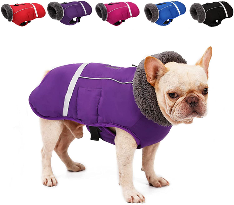Doglay Dog Winter Coat with Thicken Furry Collar, Reflective Warm Pet Jacket Waterproof Windproof Dog Clothes for Cold Weather, Soft Puppy Vest Apparel for Small Medium Large Dogs Animals & Pet Supplies > Pet Supplies > Dog Supplies > Dog Apparel Doglay Purple 3XL(Chest :31.5-43.31" , Back : 27.17") 