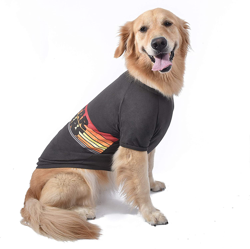 Star Wars for Pets Retro Logo Dog Tee - Star Wars Dog Shirts for All Sized Dogs - Soft Cute and Comfortable Dog Clothing and Apparel - Star Wars Dog Shirt, Star Wars Pets, Dog Shirt Star Wars Animals & Pet Supplies > Pet Supplies > Cat Supplies > Cat Apparel Marvel   