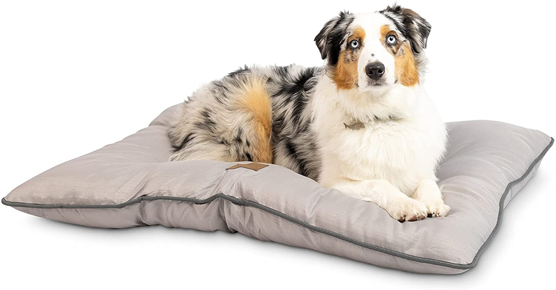 Pet Craft Supply Super Snoozer Durable Rugged Indoor / Outdoor All Season Water Resistant Dog Bed Medium Dog Bed Large Dog Dog Bed Animals & Pet Supplies > Pet Supplies > Dog Supplies > Dog Beds Pet Craft Supply Cloud Large 