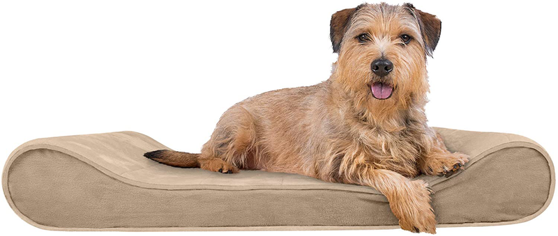 Furhaven Orthopedic, Cooling Gel, and Memory Foam Pet Beds for Small, Medium, and Large Dogs - Ergonomic Contour Luxe Lounger Dog Bed Mattress and More Animals & Pet Supplies > Pet Supplies > Dog Supplies > Dog Beds Furhaven Pet Products, Inc Microvelvet Clay Contour Bed (Orthopedic Foam) Large (Pack of 1)