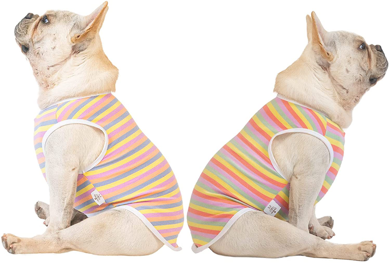 Cutebone Dog Shirts Striped 2-Pack Soft Cotton Pet Clothes Breathable Summer Vest for Small Puppy and Cat Apparel Stretchy, Yellow&Purple