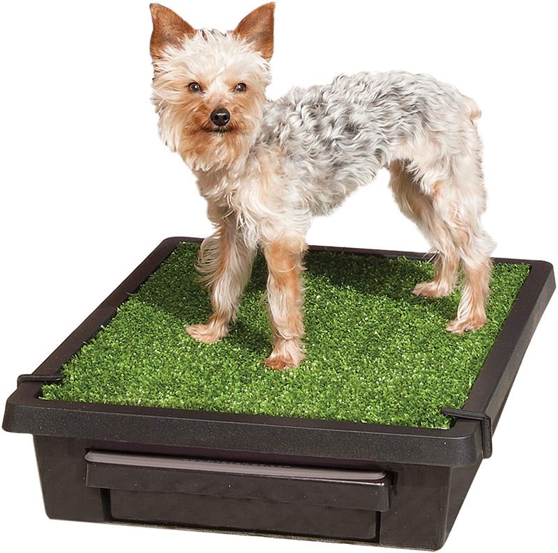 PetSafe Pet Loo Portable Outdoor or Indoor Dog Potty - Dog Grass Pad with Tray - Alternative to Puppy Pads - Easy to Clean Dog Potty Grass, Absorbent Wee Sponge, Pee Pod - Small, Medium, Large Animals & Pet Supplies > Pet Supplies > Dog Supplies > Dog Diaper Pads & Liners PetSafe Small (Pack of 1)  