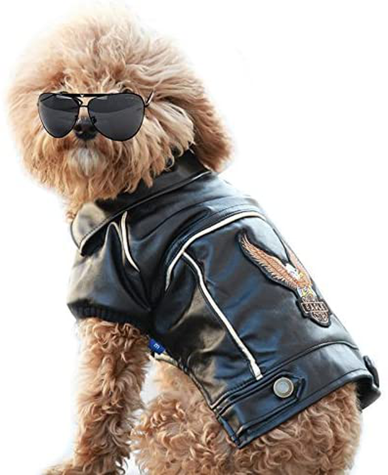NIULA Cuteboom Dog Winter Coat Pu Leather Motorcycle Jacket for Dog Pet Clothes Leather Jacket, Waterproof