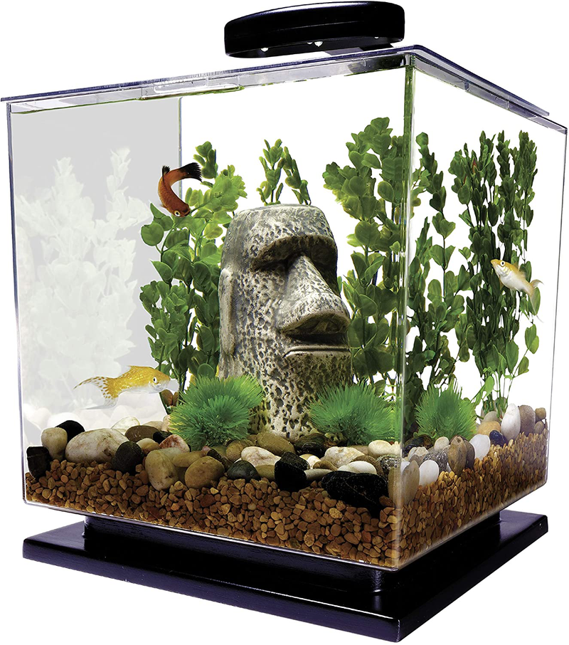 Tetra LED Cube Shaped 3 Gallon Aquarium with Pedestal Base Animals & Pet Supplies > Pet Supplies > Fish Supplies > Aquariums Tetra Default Title  