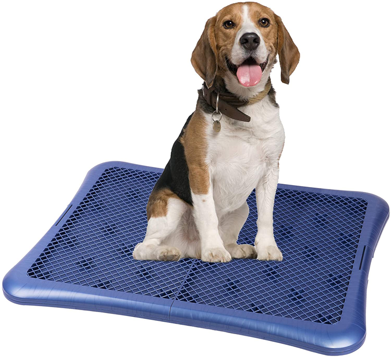 Petphabet Training Pad Holder Floor Protection Dog Pad Holder Mesh Training Tray Animals & Pet Supplies > Pet Supplies > Dog Supplies > Dog Diaper Pads & Liners Gardner Pet Group Inc X-Large (Pack of 1)  