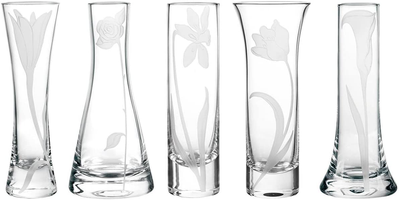 Qualia Glass Bouquet Mini Glass vases, Clear Home & Garden > Decor > Vases Qualia Glass   