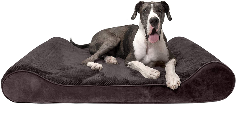 Furhaven Orthopedic, Cooling Gel, and Memory Foam Pet Beds for Small, Medium, and Large Dogs - Ergonomic Contour Luxe Lounger Dog Bed Mattress and More Animals & Pet Supplies > Pet Supplies > Dog Supplies > Dog Beds Furhaven Pet Products, Inc Minky Espresso Contour Bed (Orthopedic Foam) Giant (Pack of 1)