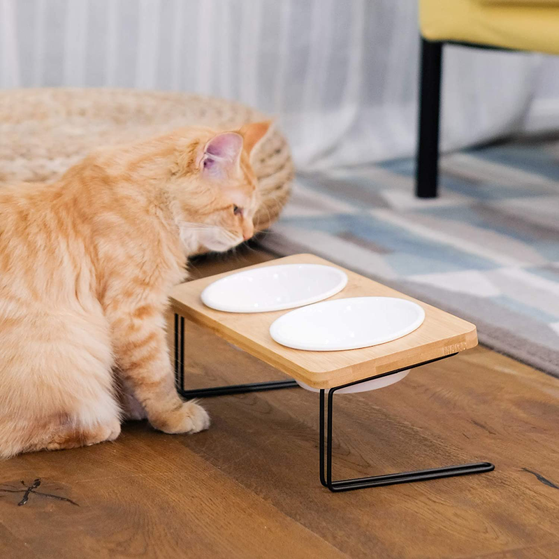 FUKUMARU Elevated Cat Ceramic Bowls, Small Dog 15°Tilted Raised Food Feeding Dishes, Solid Wood Water Stand Feeder Set for Cats and Puppy