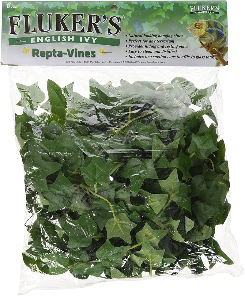 Fluker's Repta Vines for Reptiles and Amphibians Animals & Pet Supplies > Pet Supplies > Reptile & Amphibian Supplies Fluker Labs English Ivy  