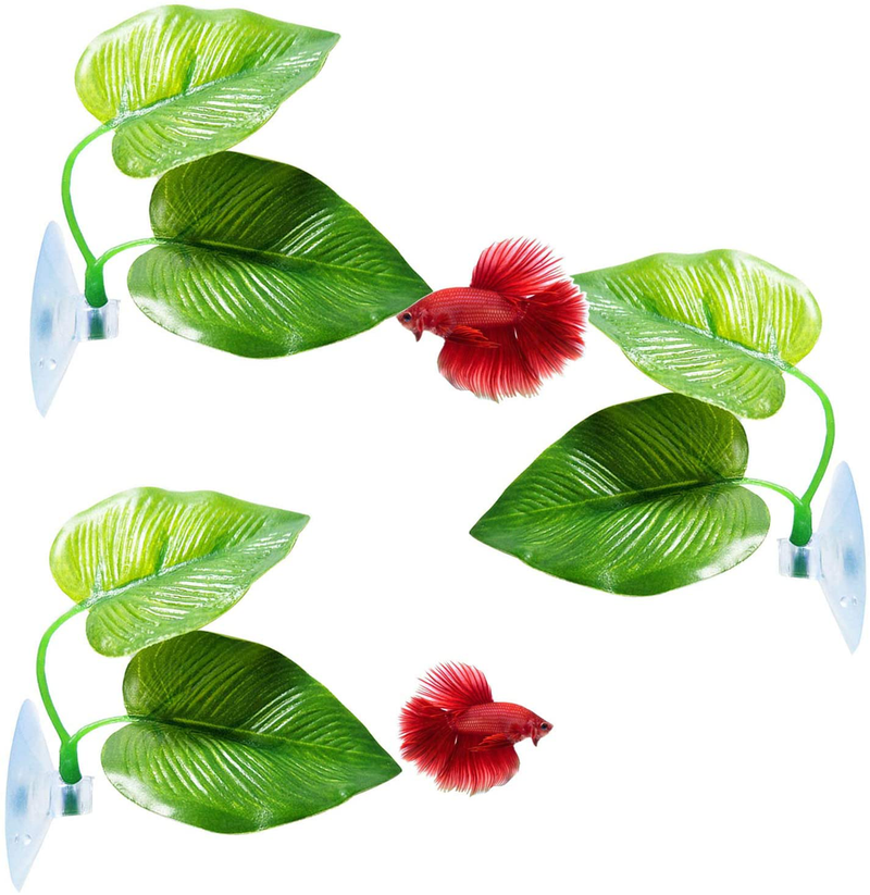 CousDUoBe Betta Fish Leaf Pad - Improves Betta's Health by Simulating The Natural Habitat（ Double Leaf Design, one Big and one Small ） Animals & Pet Supplies > Pet Supplies > Fish Supplies > Aquarium Decor CousDUoBe 3 Pack Betta Fish Leaf  