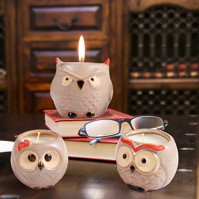 Scented Candles Sets Gifts for Women - 3 Pack Novelty Owl Natural Soy Candles for Home Scented, Aromatherapy Candles Bulk for Garden, Porch, Outdoor Patio Decor (English Pear & Fressia, Jasmine, Fig) Home & Garden > Decor > Home Fragrances > Candles Hsuner   