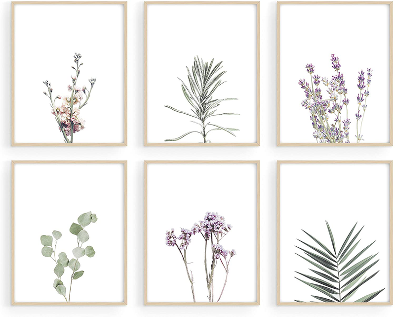 Floral Prints and Plant Posters - by Haus and Hues | Set of 6 Botanical Prints Wall Art & Floral Wall Art, Wildflower Wall Art Plant Wall Art Minimalistic Wall Art Plant Set (8"X10", UNFRAMED) Home & Garden > Decor > Artwork > Posters, Prints, & Visual Artwork Rip Technologies LLC Lavender 8x10 Unframed 