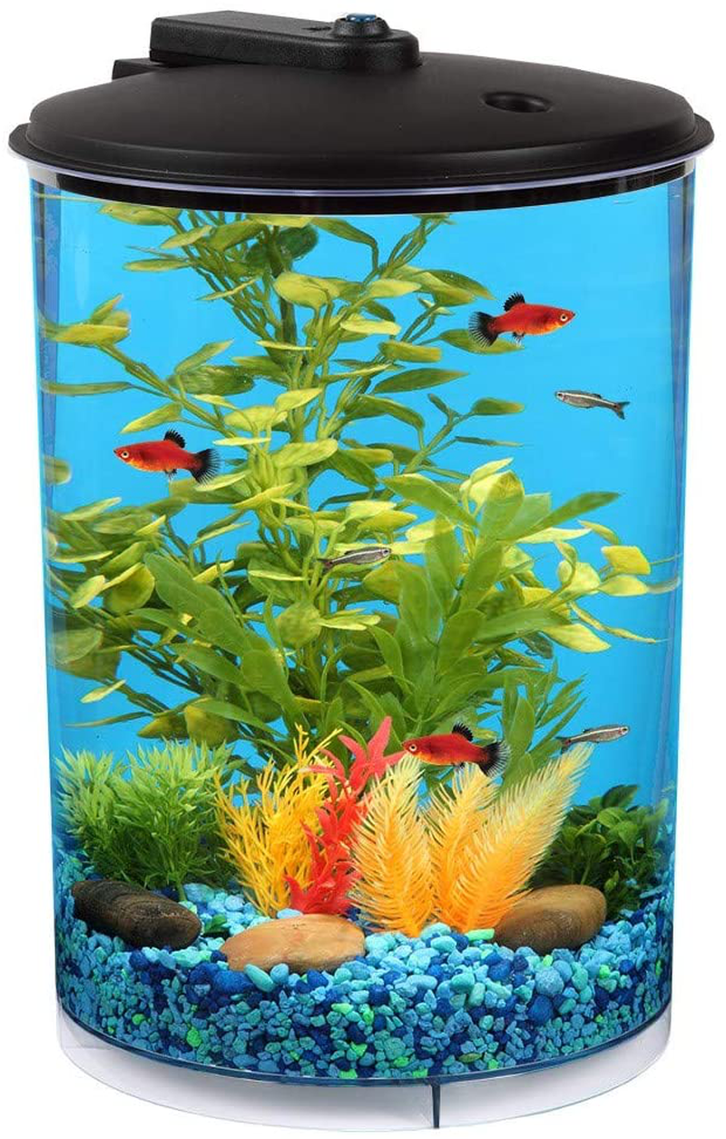 Koller Products AquaView 3-Gallon 360 Aquarium with LED Lighting (7 Color Choices) and Power Filter
