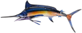 Liffy Metal Dolphin Wall Decor Outdoor Glass Art Hanging Sea Sculpture Blue Fish Decorations for Pool, Patio or Bathroom Home & Garden > Decor > Artwork > Sculptures & Statues LIFFY Swordfish  