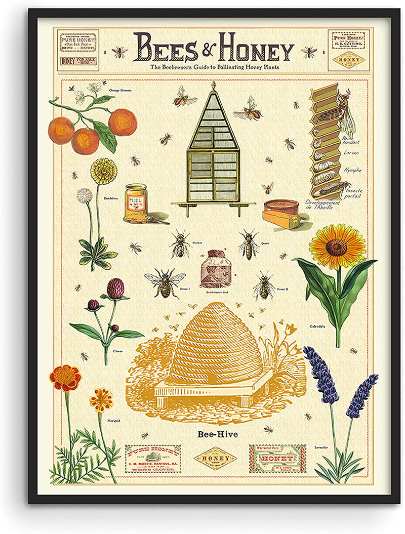 Haus and Hues Honey Bee Decor Cavallini Poster - Bee Poster, Vintage Posters for Room Aesthetic Prints, and Posters Vintage Prints and Plant Posters Follygraph Fleurs Vintage Poster UNFRAMED 12"X16" Home & Garden > Decor > Artwork > Posters, Prints, & Visual Artwork HAUS AND HUES   