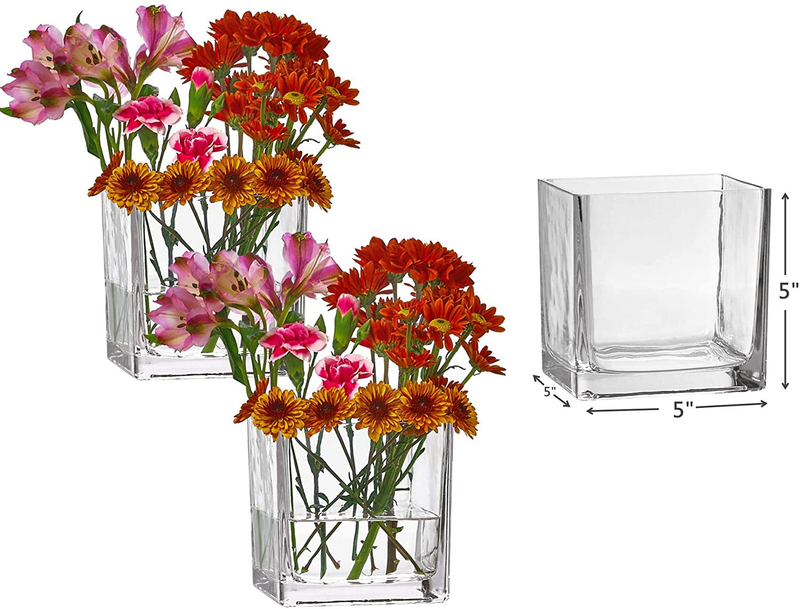 PARNOO Set of 3 Glass Square Vases 5 x 5 Inch – Clear Cube Shape Flower Vase, Candle Holders - Perfect as a Wedding Centerpieces, Home Decoration Home & Garden > Decor > Vases PARNOO   