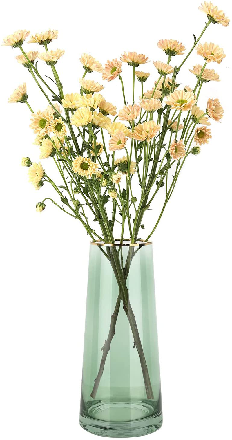 Luxspire Tall Glass Vase for Flowers,Large Clear Vase Morden Ins Style,Crystal Vases Flowers Hand Blown Glass for Home Decoration Living Room Office Bethroom Decor,8.7 Inch,Smoky Gray Home & Garden > Decor > Vases Luxspire Green Exquisite 