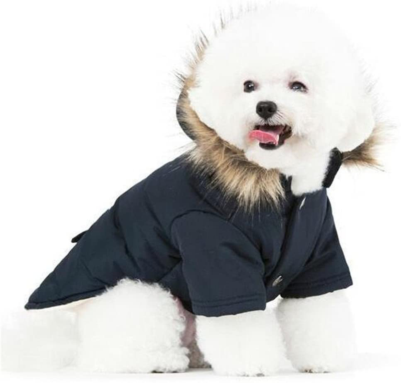 Petbobo Cat Dog Doggie down Jacket Hoodie Coat Pet Clothes Warm Clothing for Small Dogs Winter Black M