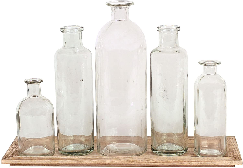 Creative Co-Op DA2672 Set of 5 Vintage Bottle Vases on Wood Tray
