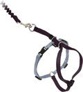 PetSafe Come With Me Kitty Harness and Bungee Leash, Harness for Cats Animals & Pet Supplies > Pet Supplies > Cat Supplies > Cat Apparel PetSafe BLACK/SILVER Medium (Pack of 1) 
