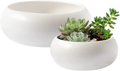Royal Imports Flower Glass Vase, Bowl Terrarium Succulent Planter, Air Plant Display, Decorative Centerpiece Floral Container for Home or Wedding Set of 2, Clear Animals & Pet Supplies > Pet Supplies > Reptile & Amphibian Supplies > Reptile & Amphibian Habitats Royal Imports White 10"/7.3" 