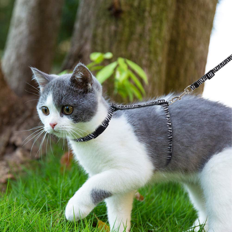 SCENEREAL Cat Harness with Leash and Collar Set - Escape Proof Harness and Collar for Walking Outdoor Stylish Animal Texture Style for Cats Small Puppies Animals & Pet Supplies > Pet Supplies > Cat Supplies > Cat Apparel SCENEREAL   