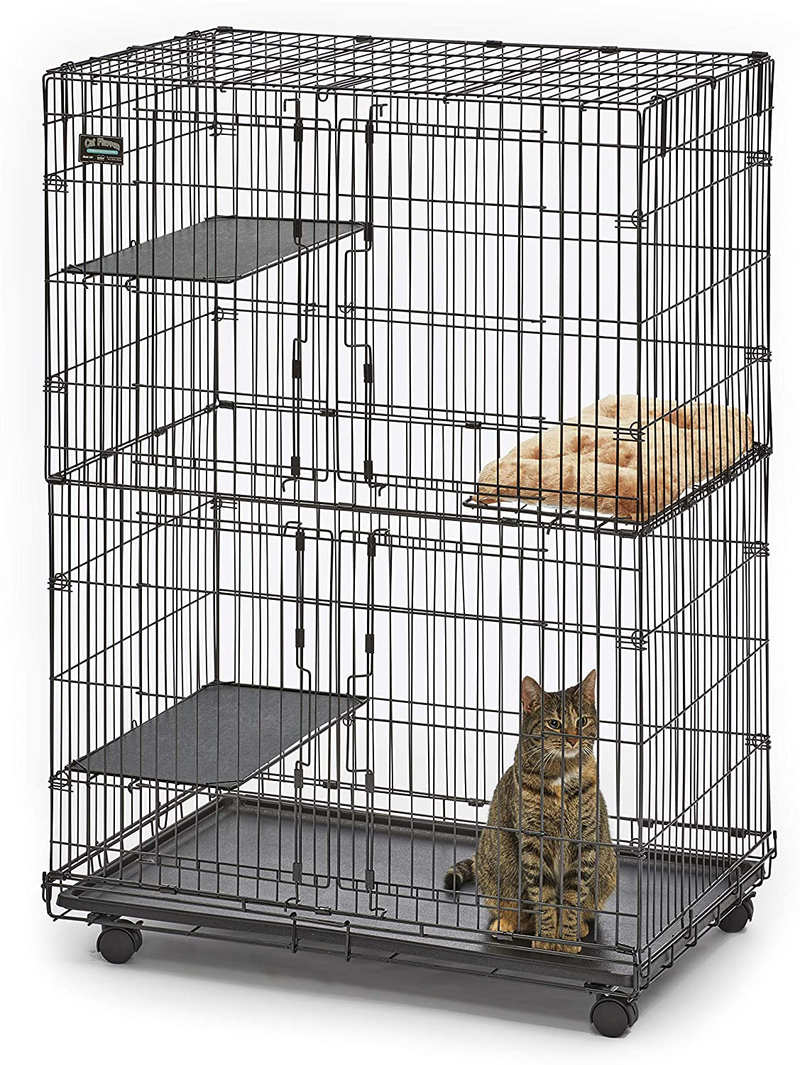 Midwest Cat Playpen | Cat Cage Includes 3 Adjustable Perching Shelves & 1 Shelf-Attaching Cat Bed & Wheel Casters | Ideal for 1-2 Cats | Cage Measures 36L X 23.5W X 50.50H Inches Animals & Pet Supplies > Pet Supplies > Cat Supplies > Cat Beds MidWest Homes for Pets Playpen  