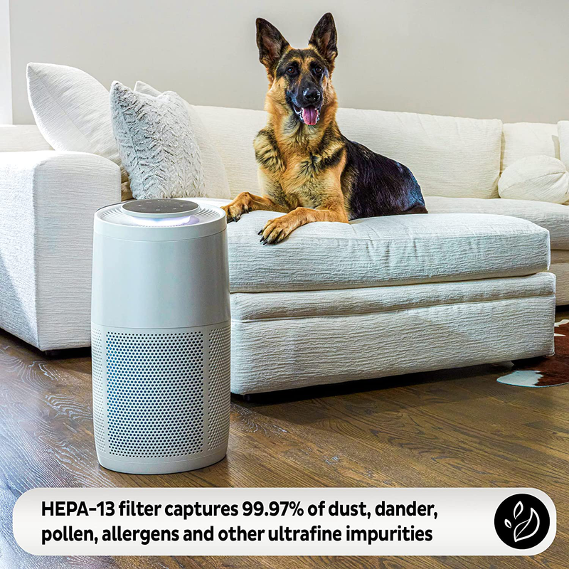 Instant Air Purifier, Helps Remove 99.9% of V (C) S; Advanced 3-In-1 HEPA-13 Filtration with Plasma Ion Technology, Large Room (AP300), Pearl Animals & Pet Supplies > Pet Supplies > Cat Supplies > Cat Beds Instant   