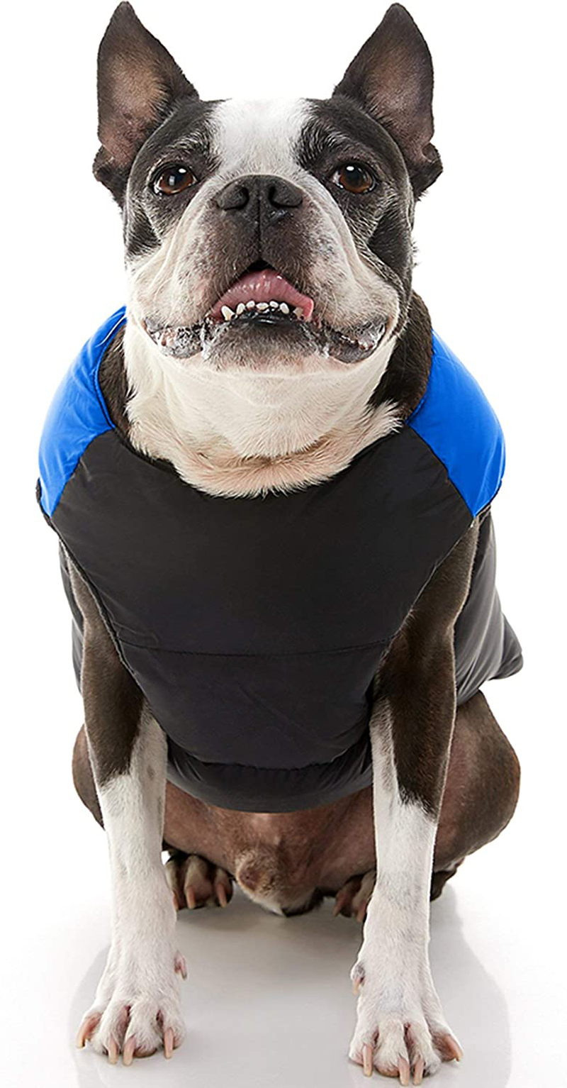 Gooby Padded Vest Dog Jacket - Warm Zip up Dog Vest Fleece Jacket with Dual D Ring Leash - Winter Water Resistant Small Dog Sweater - Dog Clothes for Small Dogs Boy and Medium Dogs for Everyday Use Animals & Pet Supplies > Pet Supplies > Dog Supplies > Dog Apparel Gooby   
