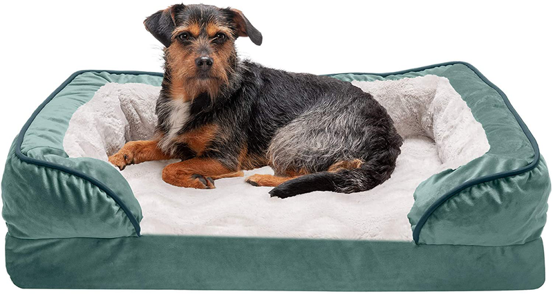 Furhaven Orthopedic, Cooling Gel, and Memory Foam Pet Beds for Small, Medium, and Large Dogs and Cats - Luxe Perfect Comfort Sofa Dog Bed, Performance Linen Sofa Dog Bed, and More Animals & Pet Supplies > Pet Supplies > Dog Supplies > Dog Beds Furhaven Velvet Waves Celadon Green Sofa Bed (Memory Foam) Medium (Pack of 1)