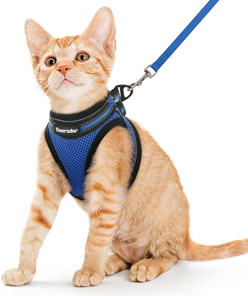 Dooradar Cat Leash and Harness Set Escape Proof Safe Cats Step-in Vest Harness for Walking Outdoor Adjustable Kitten Harness with Reflective Strip Breathable Mesh for Cat, Multiple Color Animals & Pet Supplies > Pet Supplies > Cat Supplies > Cat Apparel Dooradar Blue Small (Pack of 1) 