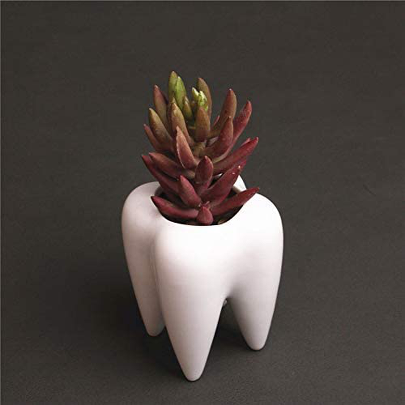 Cute Tooth Shaped Ceramic Succulent Cactus Flower Pot (Plants Not Included) (1)