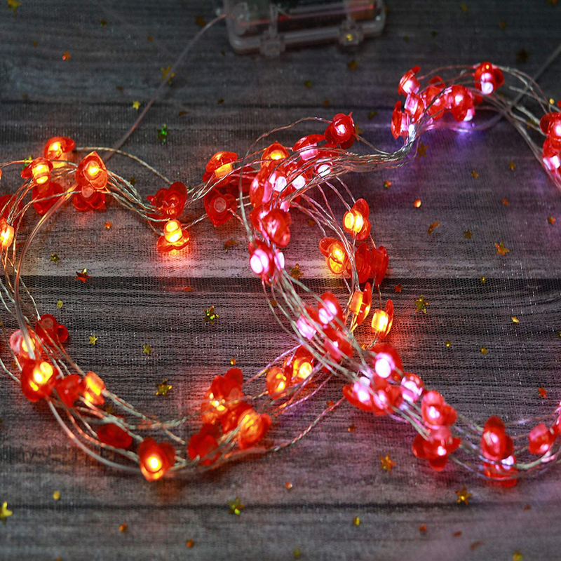 Dmhirmg Valentine'S Day String Light Party Decorations,Valentines Decorations Lights Operated for Holidays and Valentines Day Party Favors Supplies (USB & Battery Charge) Home & Garden > Decor > Seasonal & Holiday Decorations DmHirmg   