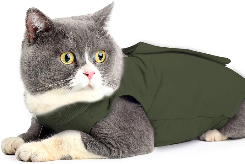 Ouuonno Cat Wound Surgery Recovery Suit for Abdominal Wounds or Skin Diseases, after Surgery Wear, Pajama Suit, E-Collar Alternative for Cats Animals & Pet Supplies > Pet Supplies > Cat Supplies > Cat Apparel oUUoNNo   