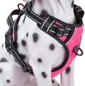 PoyPet No Pull Dog Harness, Reflective Vest Harness with 2 Leash Attachments and Easy Control Handle for Small Medium Large Dog Animals & Pet Supplies > Pet Supplies > Dog Supplies PoyPet Pink S 
