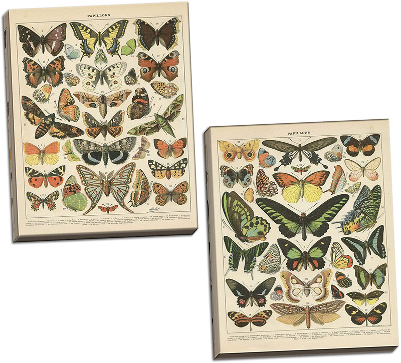Popular Vintage French Types of Papillons Butterflies Set; Two 11X14In Paper Print Posters Home & Garden > Decor > Artwork > Posters, Prints, & Visual Artwork Gango Home Décor Two 16 x 20 in Canvases  