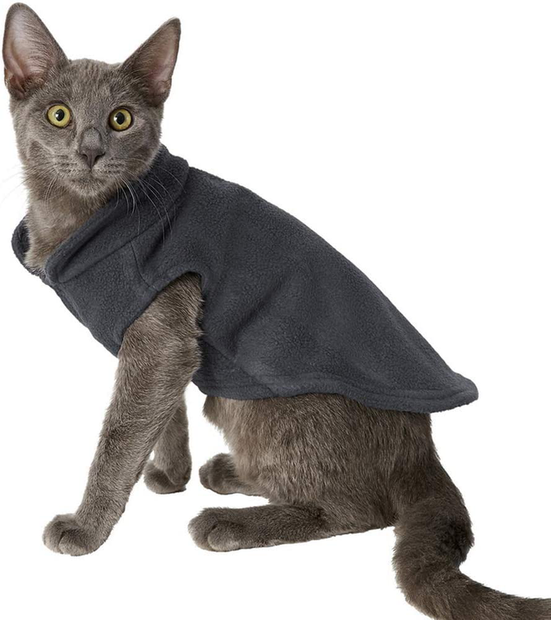 Droolingdog Dog Cat Fleece Vest for Small Dogs Animals & Pet Supplies > Pet Supplies > Cat Supplies > Cat Apparel DroolingDog Black Large (Chest: 17.7'' Back: 13.3'') 