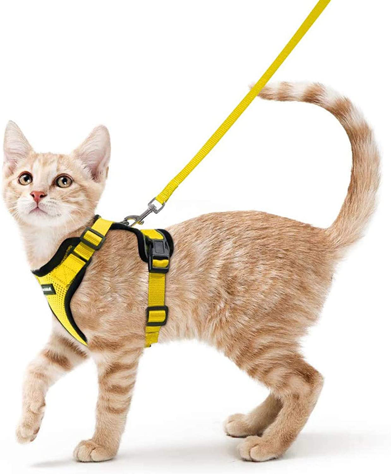 rabbitgoo Cat Harness and Leash for Walking, Escape Proof Soft Adjustable Vest Harnesses for Cats, Easy Control Breathable Jacket, Black, XS