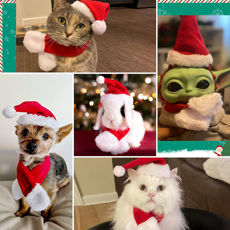 PETLESO Cat Santa Hat with Scarf -Christmas Costume Set Puppy Dog Cat Santa Hat Animals & Pet Supplies > Pet Supplies > Dog Supplies > Dog Apparel PETLESO   