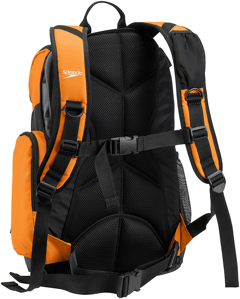 Speedo Large Teamster Backpack 35-Liter, Bright Marigold/Black, One Size