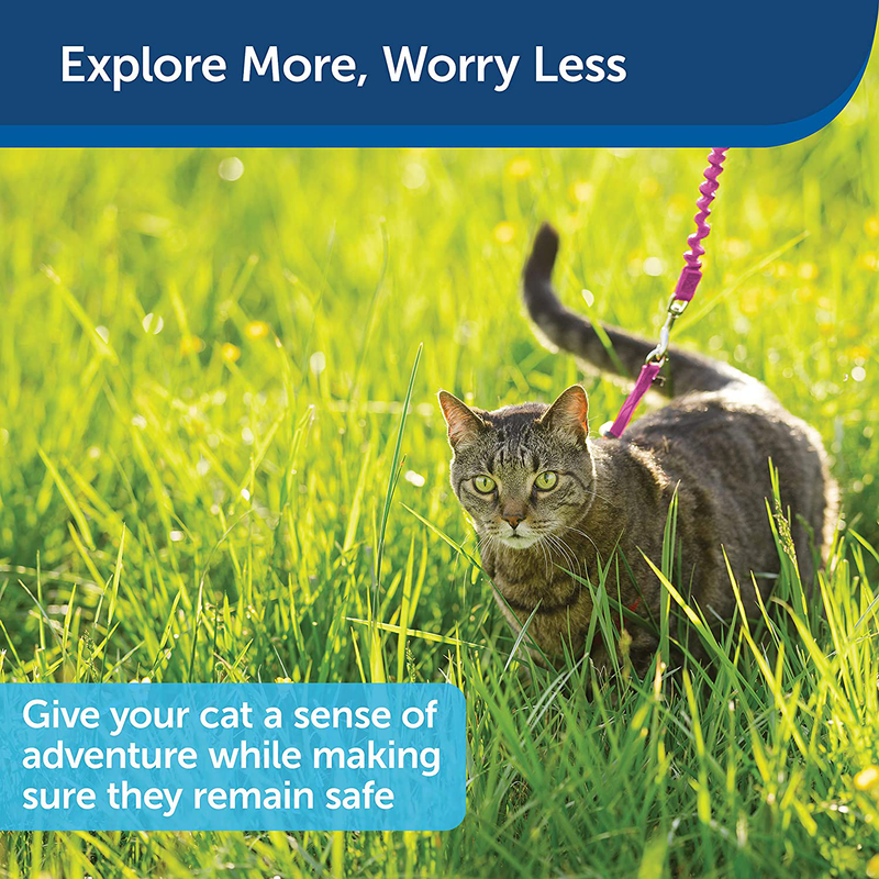 PetSafe Come With Me Kitty Harness and Bungee Leash, Harness for Cats