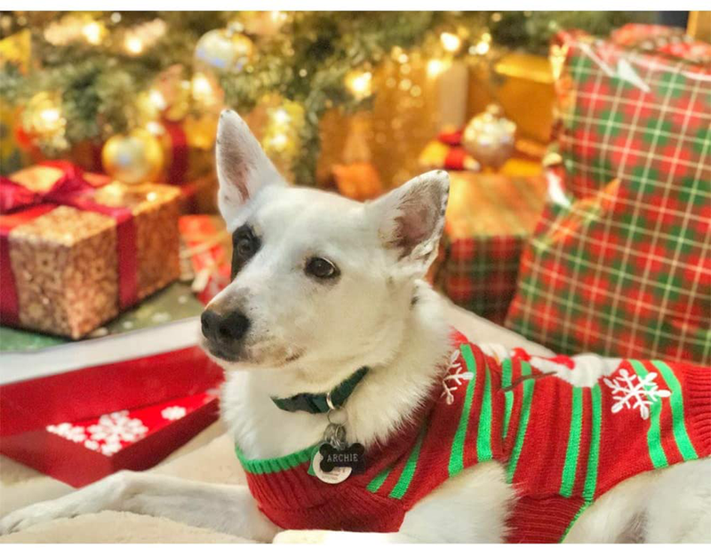 NACOCO Dog Snow Sweaters Snowman Sweaters Xmas Dog Holiday Sweaters New Year Christmas Sweater Pet Clothes for Small Dog and Cat Animals & Pet Supplies > Pet Supplies > Dog Supplies > Dog Apparel NACOCO   